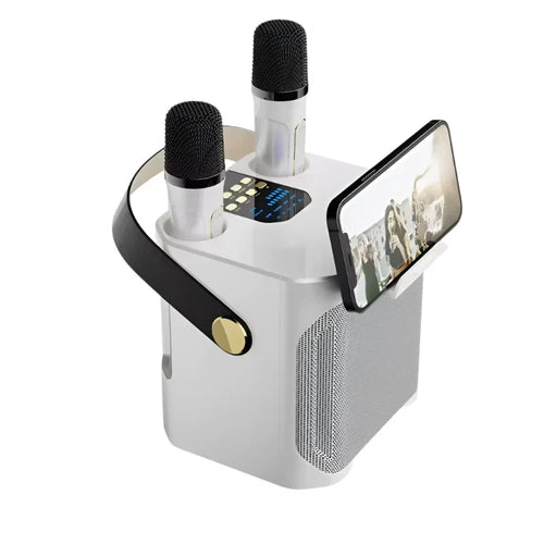 Enceinte Bluetooth de karaoké haute puissance avec deux microphones