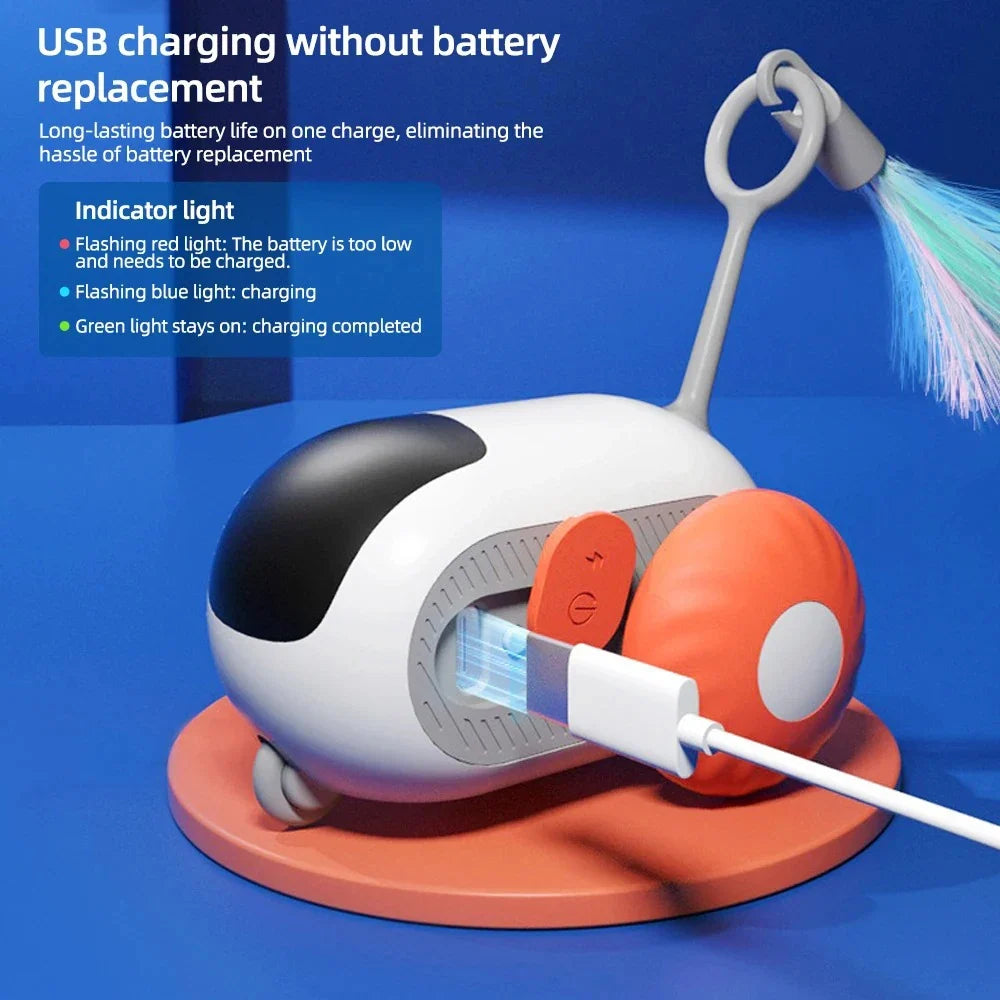Voiture interactive intelligente pour chats