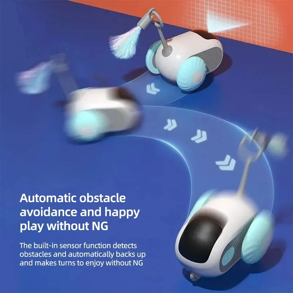 Voiture interactive intelligente pour chats