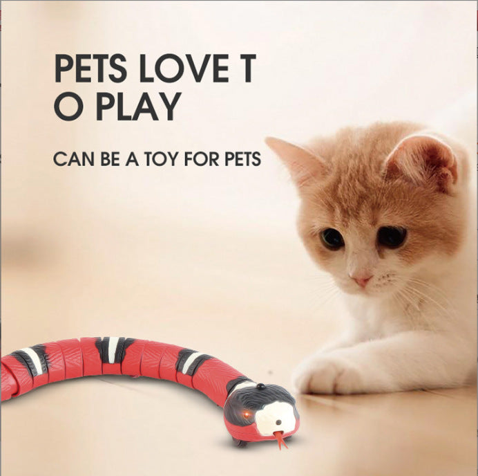 Schlangen-Spielzeug mit intelligentem Sensor für Katzen