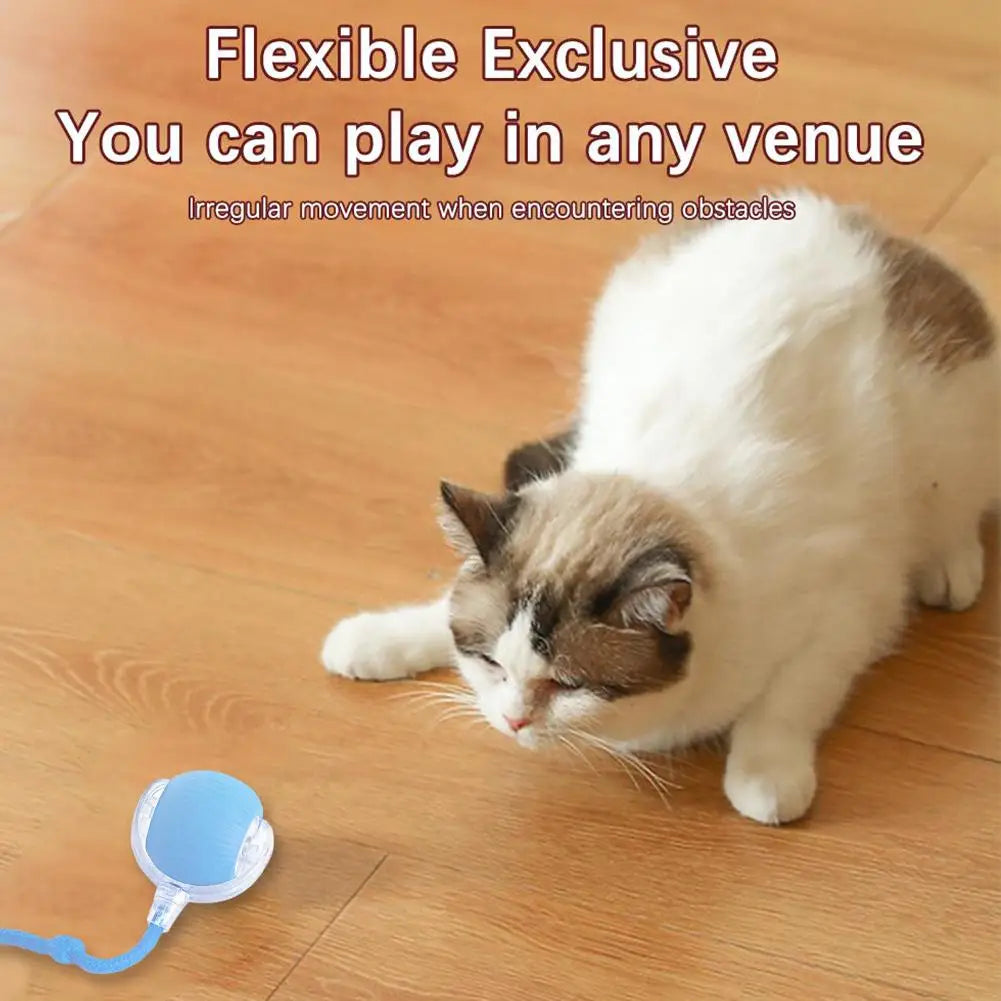 Intelligenter Spielball für Katzen, wiederaufladbar