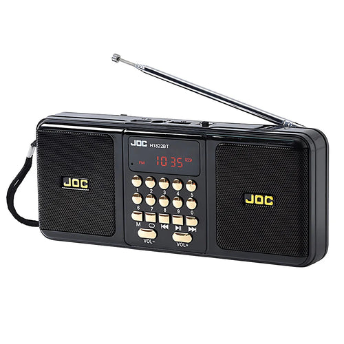 Tragbarer Bluetooth-Lautsprecher mit UKW-Radio, schwarz