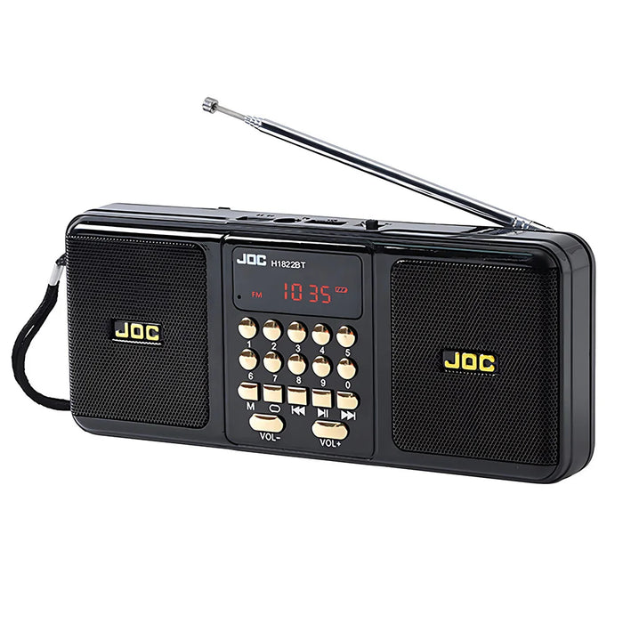Enceinte portable avec Bluetooth et radio FM, noire