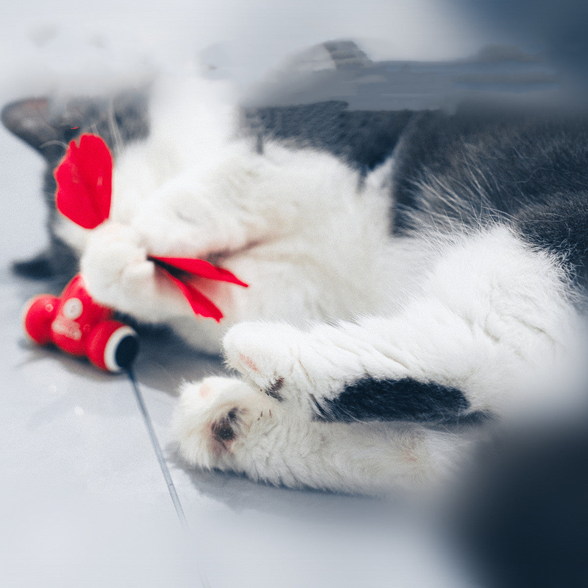 Smart cat toy set
