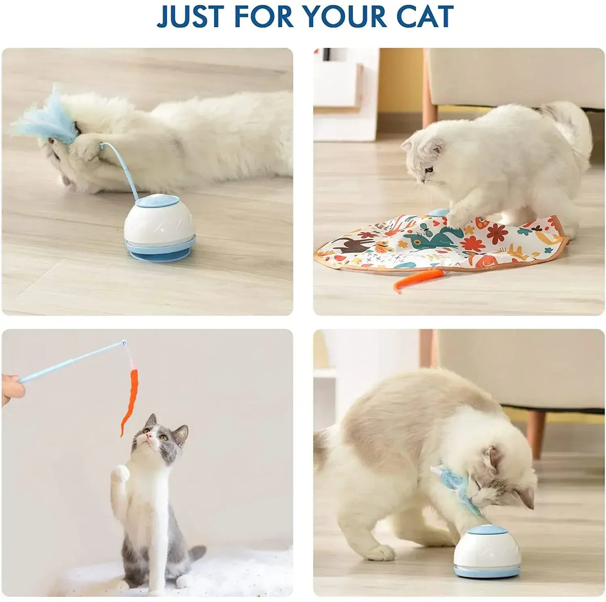 Intelligentes Spielzeug für Katzen