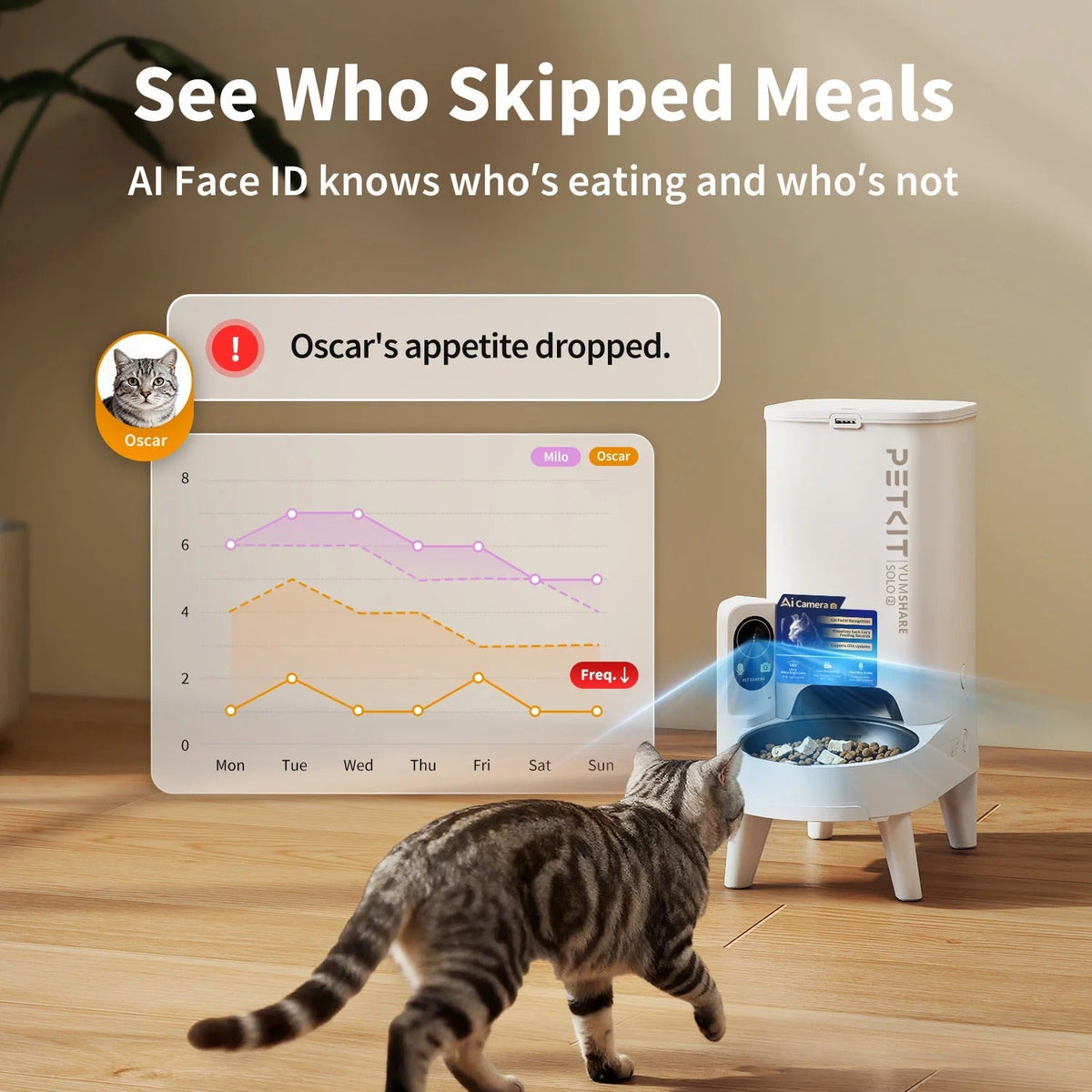 Distributeur automatique avec caméra PETKIT YumShare Solo 2